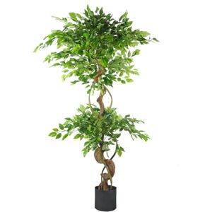 Botanik UK - Twisted Ficus - Black & Green - Artificial Tree Botanik UK - Twisted Ficus - Black & Green - Artificial Tree