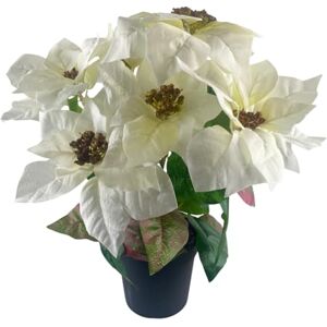 GreenBrokers Artificial White Poinsettia Christmas Flower Plant in Pot 46cm/18in GreenBrokers Artificial White Poinsettia Christmas Flower Plant in Pot 46cm/18in