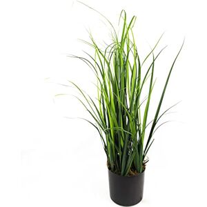 Leaf Design UK - Lemongrass 60cm - Artificial Plant Leaf Design UK - Lemongrass 60cm - Artificial Plant