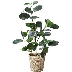 SAROSORA Artificial Ficus Tree Fake Plants in Weaved Pot 20" Height for Living Room Decor Indoor Home Office Ins Style (Green, 1) SAROSORA Artificial Ficus Tree Fake Plants in Weaved Pot 20" Height for Living Room Decor Indoor Home Office Ins Style (Green, 1)