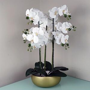 Leaf Design UK Realistic Artificial Orchid Flower Display in Pot,60cm Leaf Design UK Realistic Artificial Orchid Flower Display in Pot,60cm