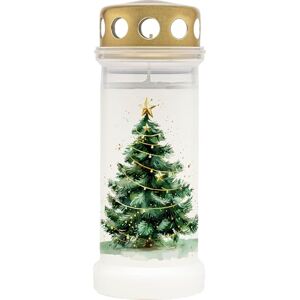 BOLSIUS Grave Light White with Motif Pack of 12 Christmas Length Burning Time 70 Hours Funeral Candle & Memorial Candles Clean Burning Without Palm Oil BOLSIUS Grave Light White with Motif Pack of 12 Christmas Length Burning Time 70 Hours Funeral Candle & Memorial Candles Clean Burning Without Palm Oil