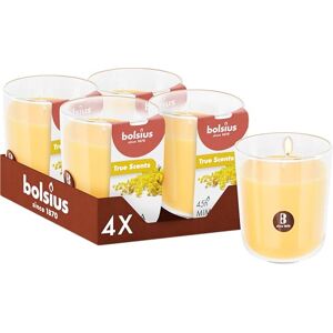 BOLSIUS Mimosa Yellow Set of 4 Scented Candles 3.8″ × 3.3″ Burn time: 25 Hours with Natural extracts Natural Vegetable Wax Palm Oil Free BOLSIUS Mimosa Yellow Set of 4 Scented Candles 3.8″ × 3.3″ Burn time: 25 Hours with Natural extracts Natural Vegetable Wax Palm Oil Free