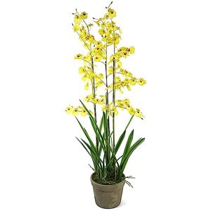 Leaf Design UK Realistic Artificial Orchid Flower Display in Pot, 105cm, 105cm Oncidium Yellow Leaf Design UK Realistic Artificial Orchid Flower Display in Pot, 105cm, 105cm Oncidium Yellow