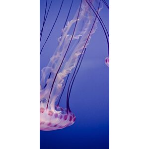 PeelitStickit Underwater, Undersea Wall Murals, ID-076, vinyl PeelitStickit Underwater, Undersea Wall Murals, ID-076, vinyl