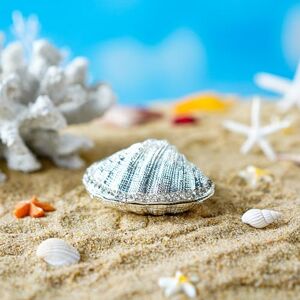 YU FENG Silver Mussel Hinged Trinket Box Wedding Ring Holder Metal Seashell Figurine For Ring Display YU FENG Silver Mussel Hinged Trinket Box Wedding Ring Holder Metal Seashell Figurine For Ring Display