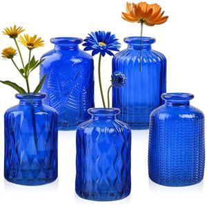 eleganttime Cobalt Blue Glass Bud Vase Small Flower Vase Mini Bottle with Cork Wire Handle Design Perfect for Deco Cafes, Office Table, Home and Garden(Set 5) eleganttime Cobalt Blue Glass Bud Vase Small Flower Vase Mini Bottle with Cork Wire Handle Design Perfect for Deco Cafes, Office Table, Home and Garden(Set 5)