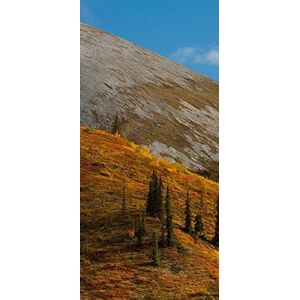 PeelitStickit , Beautiful Nature Wall Murals, ID-1330, vinyl PeelitStickit , Beautiful Nature Wall Murals, ID-1330, vinyl