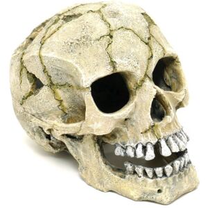 CLASSIC Polyresin Cracked Skull 20.5cm 750g CLASSIC Polyresin Cracked Skull 20.5cm 750g