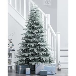 WeRChristmas Frosted Siberian Mixed Pine Christmas Tree WeRChristmas Frosted Siberian Mixed Pine Christmas Tree