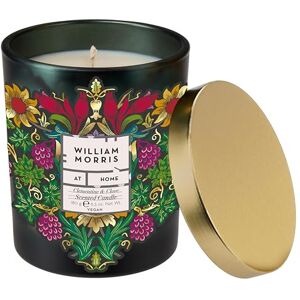 WILLIAM MORRIS AT HOME Scented Candle 180g, Home Fragrance, Clementine and Clove Scent, 40 Hours Burn Time, Reusable Jar, Housewarming Gift, Cruelty and Vegan Free, Black WILLIAM MORRIS AT HOME Scented Candle 180g, Home Fragrance, Clementine and Clove Scent, 40 Hours Burn Time, Reusable Jar, Housewarming Gift, Cruelty and Vegan Free, Black