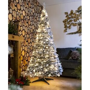 SHATCHI 4Ft-6Ft Prelit Pre Pop up Christmas Tree Xmas Home Indoor LED Warm White Lights Baubles Decorations Battery Operated, Holly Flocked, 4Ft SHATCHI 4Ft-6Ft Prelit Pre Pop up Christmas Tree Xmas Home Indoor LED Warm White Lights Baubles Decorations Battery Operated, Holly Flocked, 4Ft