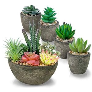 PETAFLOP Artificial Succulent Plants Set of 5, Realistic Faux Succulents in Cement Like Pots, Small Fake Succulents Plants for Home Office Desk Decoration PETAFLOP Artificial Succulent Plants Set of 5, Realistic Faux Succulents in Cement Like Pots, Small Fake Succulents Plants for Home Office Desk Decoration