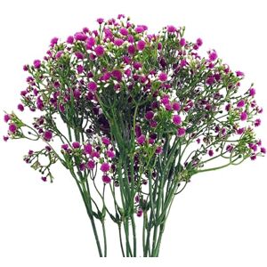Leaf Design Artificial Flowers, 6 X 55cm Gypsophila Pink Leaf Design Artificial Flowers, 6 X 55cm Gypsophila Pink