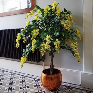 Leaf 120cm Yellow Flowering Wisteria Tree Leaf 120cm Yellow Flowering Wisteria Tree