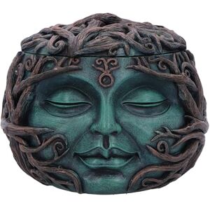 Nemesis Now Tree Spirit Treasure Box 10.5cm, Resin, Green, Vined Tree Face Box, Spiritual Nature Gift, Removable Lid, Cast in the Finest Resin, Expertly Hand-Painted Nemesis Now Tree Spirit Treasure Box 10.5cm, Resin, Green, Vined Tree Face Box, Spiritual Nature Gift, Removable Lid, Cast in the Finest Resin, Expertly Hand-Painted