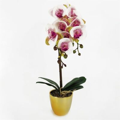 Leaf 48cm Harlequin Orchid Artificial - Pink with Gold Pot - Artificial Orchid Plant Leaf 48cm Harlequin Orchid Artificial - Pink with Gold Pot - Artificial Orchid Plant