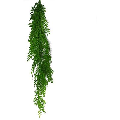 Leaf 100cm Hanging String of Pearls Fern Plant - Fern Plant Leaf 100cm Hanging String of Pearls Fern Plant - Fern Plant