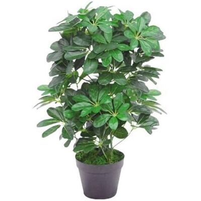 Leaf 55cm Dark Green Artificial Schefflera Arboricola Plant - Artificial Plant Leaf 55cm Dark Green Artificial Schefflera Arboricola Plant - Artificial Plant