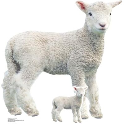 Iconicgreats - Lamb Lifesize - 74cm - 72cm - Cardboard cutout Iconicgreats - Lamb Lifesize - 74cm - 72cm - Cardboard cutout