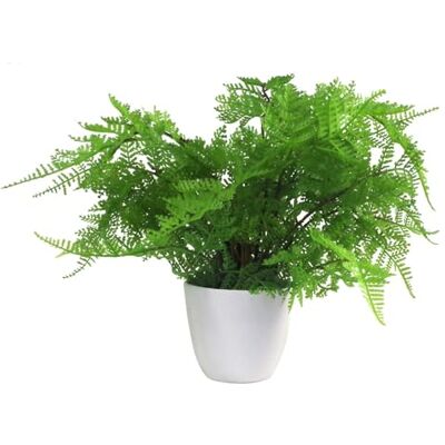Leaf Athyrium Filix-Femina - Artificial Fern - 30cm tall, ready potted, green Leaf Athyrium Filix-Femina - Artificial Fern - 30cm tall, ready potted, green