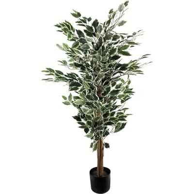 Brand 130cm Tall Variegated White and Green Bushy Ficus Tree - Artificial Tree Brand 130cm Tall Variegated White and Green Bushy Ficus Tree - Artificial Tree