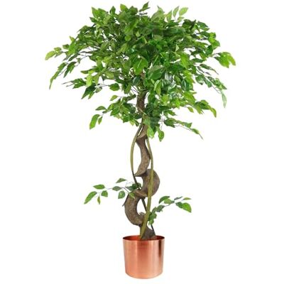 Leaf Design UK - Ficus Tree - Twisted trunk - Artificial tree Leaf Design UK - Ficus Tree - Twisted trunk - Artificial tree