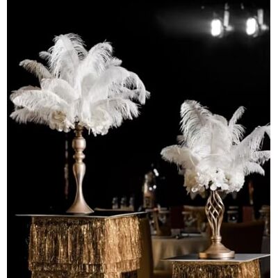 LONDGEN 10PCS Ostrich Feather 12-14 inch(30-35cm) Plumes for Party Wedding Centerpiece Festival Vases Decoration(White) LONDGEN 10PCS Ostrich Feather 12-14 inch(30-35cm) Plumes for Party Wedding Centerpiece Festival Vases Decoration(White)