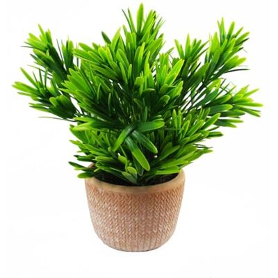 Leaf 22cm Honey Plant Dark Green - Plant Leaf 22cm Honey Plant Dark Green - Plant