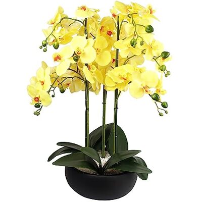 Leaf 60cm Orchid Yellow - Black Ceramic Planter - Planter Leaf 60cm Orchid Yellow - Black Ceramic Planter - Planter