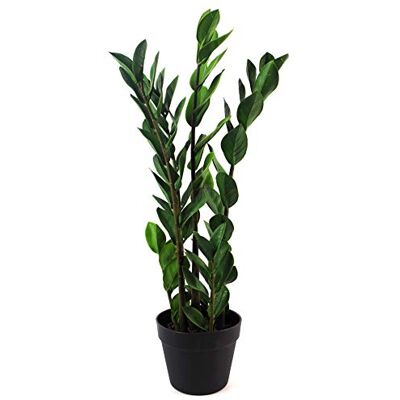 Leaf 75cm Artificial Zanzibar Green Gem Zamioculcas Succulent Indoor Plant - Artificial Indoor Plant Leaf 75cm Artificial Zanzibar Green Gem Zamioculcas Succulent Indoor Plant - Artificial Indoor Plant
