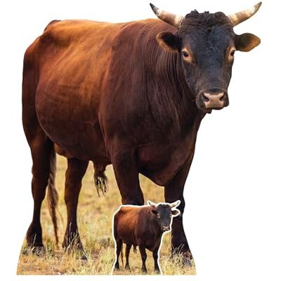 Iconicgreats - Young Bull Farmyard Lifesize - 100 cm tall - Cardboard Cutout Iconicgreats - Young Bull Farmyard Lifesize - 100 cm tall - Cardboard Cutout