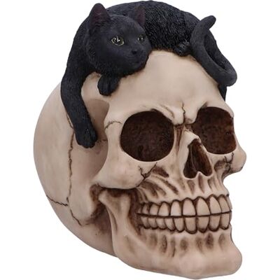 Nemesis Now - Forever Friend Cat On Skull - Black/bone - Figurine Nemesis Now - Forever Friend Cat On Skull - Black/bone - Figurine