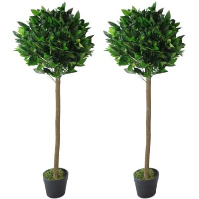 Leaf Design UK - Bay Topiary Ball Trees - topiary trees Leaf Design UK - Bay Topiary Ball Trees - topiary trees