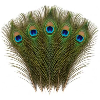 Trimming Shop Real Small Peacock Feathers 10-12 Inch, 50pcs Colourful Peacock Tail Feather for Wedding,Christmas Party, Centerpiece, Vase Decoration, DIY Art & Craft Projects Trimming Shop Real Small Peacock Feathers 10-12 Inch, 50pcs Colourful Peacock Tail Feather for Wedding,Christmas Party, Centerpiece, Vase Decoration, DIY Art & Craft Projects