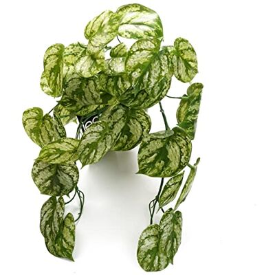 Leaf 35cm Artificial Trailing Light Green Plant - Artificial Plant Leaf 35cm Artificial Trailing Light Green Plant - Artificial Plant