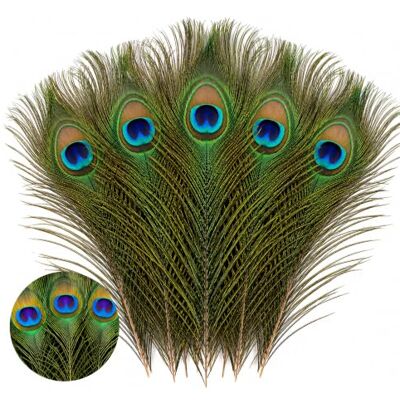 WedDecor Real Small Peacock Tail Feathers, 10-12 Inches, 50pcs Colourful Feathers for for Vase, DIY, Kid's Arts and Crafts, Projects, Carnival Dress-Up Home Wedding Decorations WedDecor Real Small Peacock Tail Feathers, 10-12 Inches, 50pcs Colourful Feathers for for Vase, DIY, Kid's Arts and Crafts, Projects, Carnival Dress-Up Home Wedding Decorations
