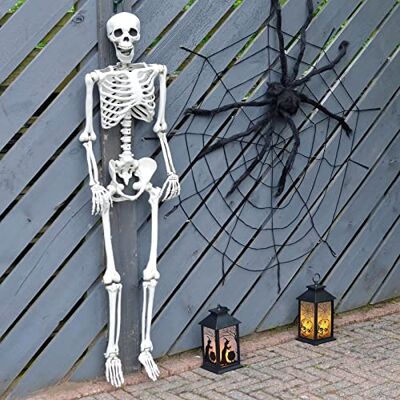 Cackle & Co 5ft Hanging Skeleton Decoration Halloween Party Prop Full Size Poseable Jointed Cackle & Co 5ft Hanging Skeleton Decoration Halloween Party Prop Full Size Poseable Jointed