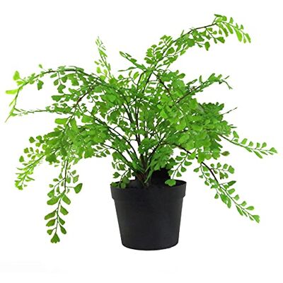 Leaf Design UK 35cm Artificial Maidenhair Fern - plant Leaf Design UK 35cm Artificial Maidenhair Fern - plant