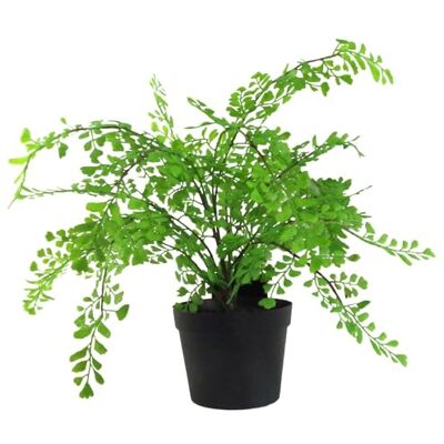 Leaf Design UK 35cm Artificial Maidenhair Fern - plant Leaf Design UK 35cm Artificial Maidenhair Fern - plant