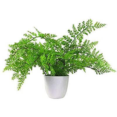 Leaf 30cm Artificial Potted Royal Fern - Artificial Fern Plant Leaf 30cm Artificial Potted Royal Fern - Artificial Fern Plant