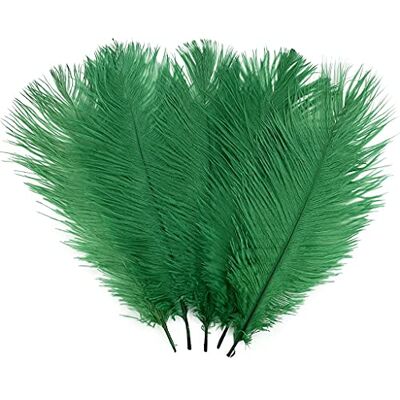 LONDGEN 10PCS Ostrich Feather 12-14 inch(30-35cm) Plumes for Party Wedding Centerpiece Festival Vases Decoration(Dark Green) LONDGEN 10PCS Ostrich Feather 12-14 inch(30-35cm) Plumes for Party Wedding Centerpiece Festival Vases Decoration(Dark Green)