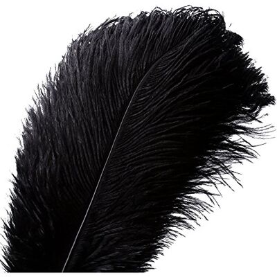Voilalove 10pcs Natural Ostrich Feather Craft 12-14inch(30-35cm) Plume for Wedding Centerpieces Home Decoration (12-14inch,Black) Voilalove 10pcs Natural Ostrich Feather Craft 12-14inch(30-35cm) Plume for Wedding Centerpieces Home Decoration (12-14inch,Black)