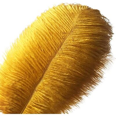 Crenze 10pcs Natural Golden Ostrich Feathers Bulk, 12-14inch(30-35cm) Large Fluffy Feathers for Crafting, Home, Wedding Party Decorations & Christmas Tree Decor, Offers 10 colors Crenze 10pcs Natural Golden Ostrich Feathers Bulk, 12-14inch(30-35cm) Large Fluffy Feathers for Crafting, Home, Wedding Party Decorations & Christmas Tree Decor, Offers 10 colors