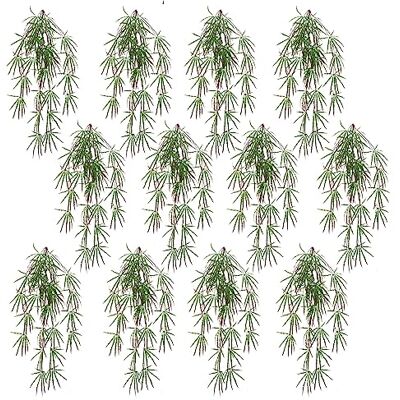 Leaf Pack of 12 x 100cm Artificial Hanging Acer Plant - Artificial Hanging Plant Leaf Pack of 12 x 100cm Artificial Hanging Acer Plant - Artificial Hanging Plant