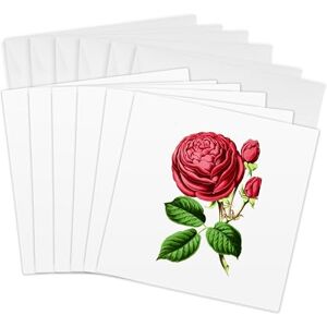 3dRose Red Rose Greeting Cards, 6 by 6-inches, Set of 6 (gc_11144_1) 3dRose Red Rose Greeting Cards, 6 by 6-inches, Set of 6 (gc_11144_1)