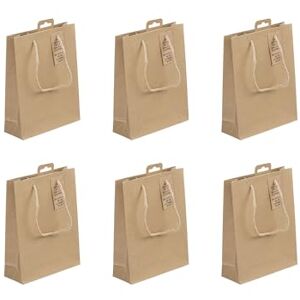 Clairefontaine 28800-0Cpack Pack of 6 Kraft Gift Bags Pocket Size 17x6x22cm 210g Kraft Gift Wrapping, Packaging, Ideal for Book, Small Gifts, Perfume Clairefontaine 28800-0Cpack Pack of 6 Kraft Gift Bags Pocket Size 17x6x22cm 210g Kraft Gift Wrapping, Packaging, Ideal for Book, Small Gifts, Perfume