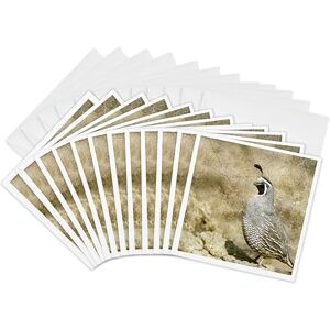 3dRose gc_12394_2 6 x 6-Inch "California Quail with Textures" Greeting Card (Pack of 12) 3dRose gc_12394_2 6 x 6-Inch "California Quail with Textures" Greeting Card (Pack of 12)