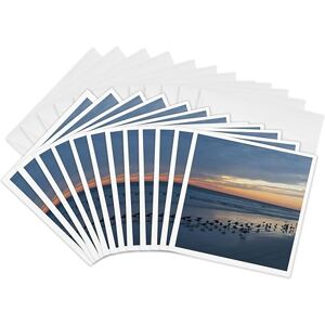 3dRose gc_143635_2 6 x 6-Inch "USA, Florida, Crescent Beach, Siesta Key, Sunset Us10 Bfr0160 Bernard Friel" Greeting Card (Set of 12) 3dRose gc_143635_2 6 x 6-Inch "USA, Florida, Crescent Beach, Siesta Key, Sunset Us10 Bfr0160 Bernard Friel" Greeting Card (Set of 12)