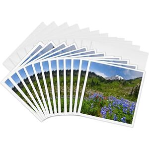 3dRose gc_148809_2 6 x 6-Inch "Wildflower, Mt Rainier National Park, Washington, USA Us48 Tno0027 Tom Norring" Greeting Card (Set of 12) 3dRose gc_148809_2 6 x 6-Inch "Wildflower, Mt Rainier National Park, Washington, USA Us48 Tno0027 Tom Norring" Greeting Card (Set of 12)